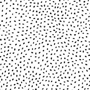 Meet your Posher, Ava